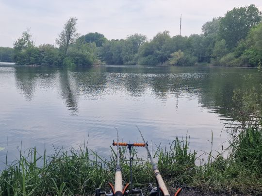 Großer Hemminger Teich ALLE ANGELN