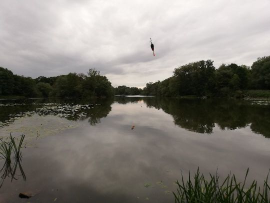 Großer Hemminger Teich ALLE ANGELN