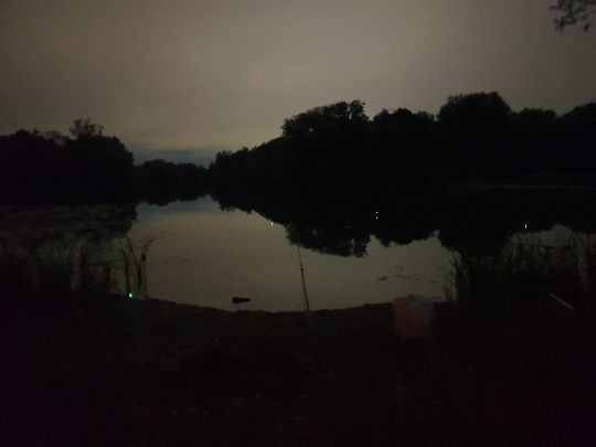 Großer Hemminger Teich ALLE ANGELN