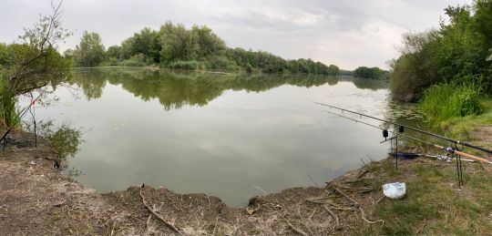 Großer Hemminger Teich ALLE ANGELN