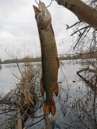 Großer Hemminger Teich-2