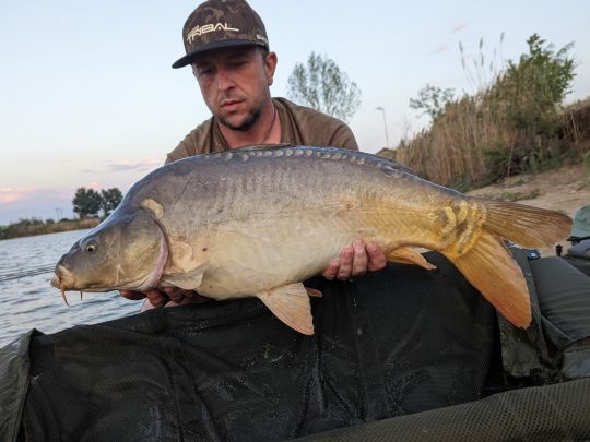 Thülsfelder Stausee-1