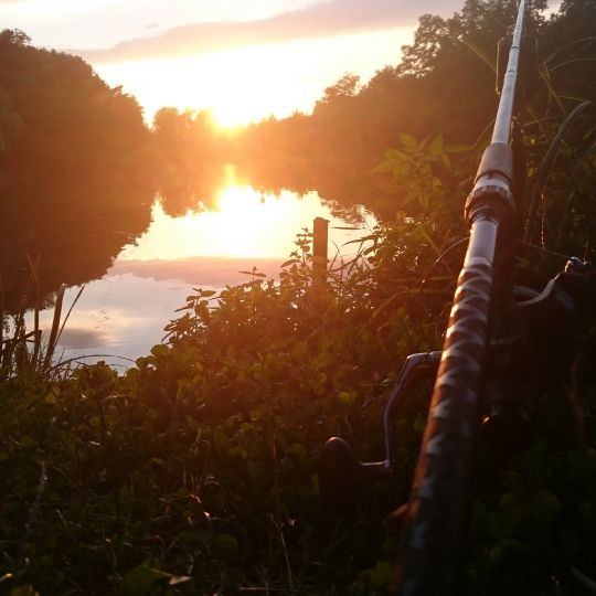 Emsenteich (Bad Sulza)-2