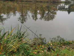 Emsenteich (Bad Sulza)