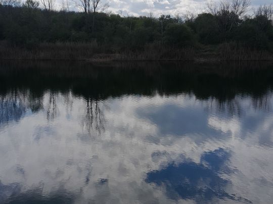 Neues Tonloch (Beesenlaublingen)