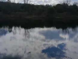 Neues Tonloch (Beesenlaublingen)