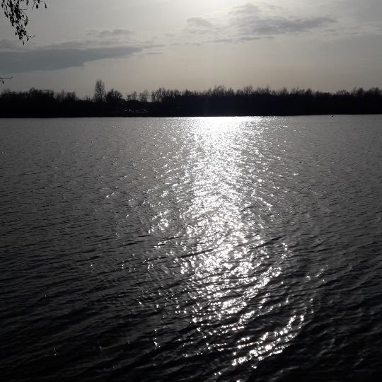 Lippesee (Paderborn)