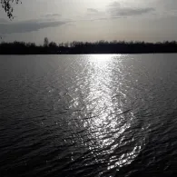 Lippesee (Paderborn)