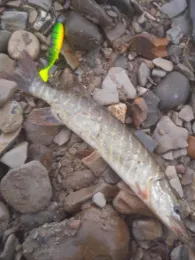 Lippesee (Paderborn)-4