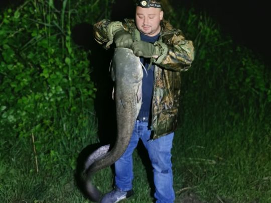 Rhein (Bad Säckingen)-3