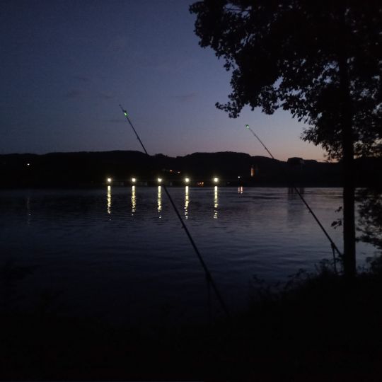 Rhein (Bad Säckingen)-2