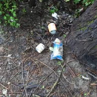 Rhein (Bad Säckingen)-1