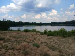 Barbarasee (Gräfenhainichen)-3