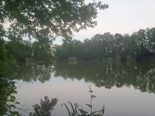 Großteich (Kössern)