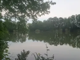 Großteich (Kössern)