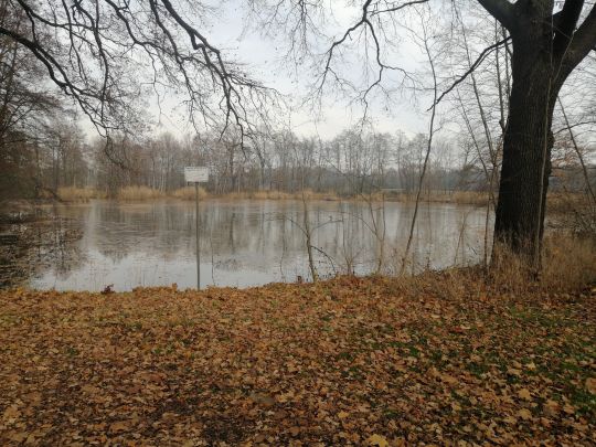 Großteich (Kössern)-3