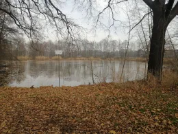 Großteich (Kössern)-3