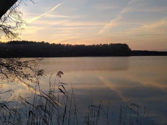 Großer Oelsener See-3