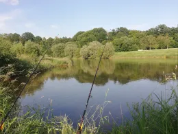 Weser (Beverungen)-3