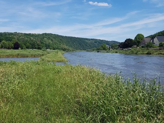 Weser (Beverungen)-4