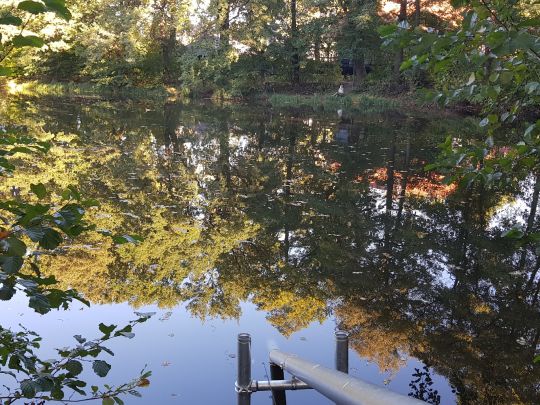 Nymphensee (Rangsdorf)-2