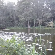 Krummer Pfuhl (Biesenthal)