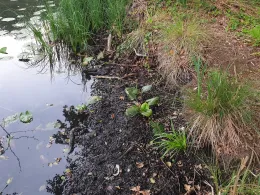 Krummer Pfuhl (Biesenthal)-3