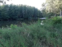 Krummer Pfuhl (Biesenthal)-1