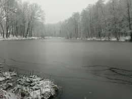 Krummer Pfuhl (Biesenthal)-4