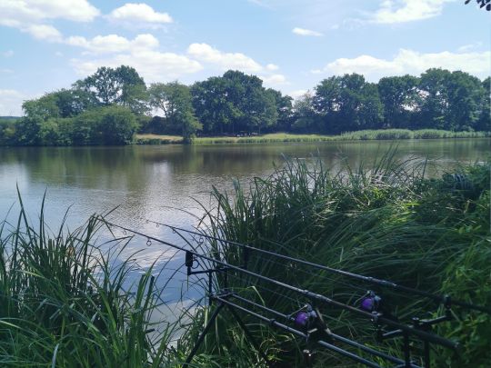 Sterenbachsee (Wittlich)-1