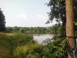 Sterenbachsee (Wittlich)-3