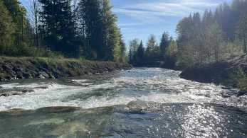 Kieferbach (Kiefersfelden)