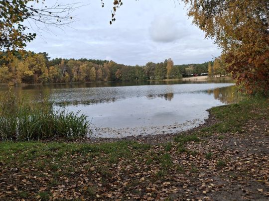 Glienicksee (Dobbrikow)-1