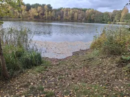 Glienicksee (Dobbrikow)-3