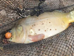 Glienicksee (Dobbrikow)