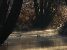 Schwarze Laber (Nittendorf)-2