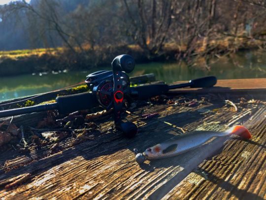 Schwarze Laber (Nittendorf)-4