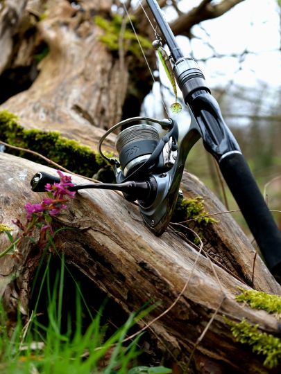 Schwarze Laber (Nittendorf)-3