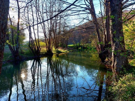 Schwarze Laber (Nittendorf)-1