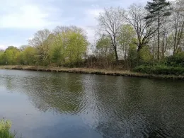 Oder-Havel-Kanal (Ruhlsdorf-Zerpenschleuse)-2