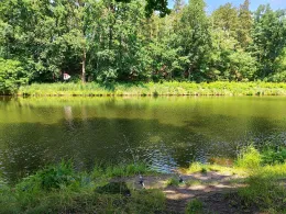 Oder-Havel-Kanal (Ruhlsdorf-Zerpenschleuse)