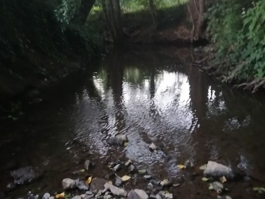 Pleisbach