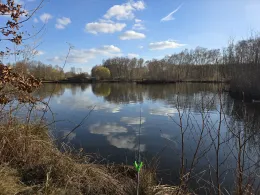 Rennbahnteiche Lüneburg-3