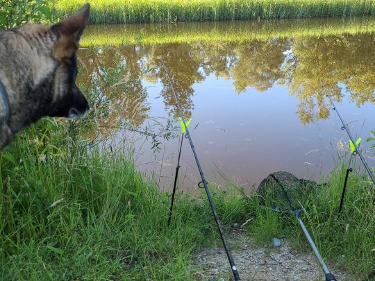 Mühlheimer Ache (Untersunzing)-1