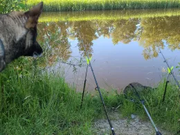 Mühlheimer Ache (Untersunzing)-1