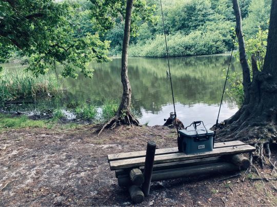 Pechpfuhle (Ludwigsfelde)-1