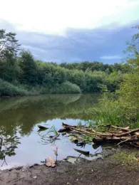 Pechpfuhle (Ludwigsfelde)