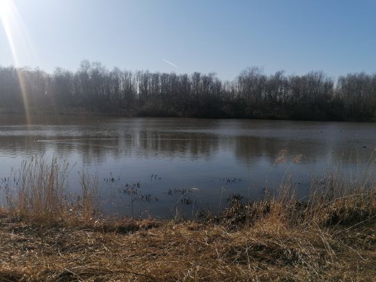 Auesee (Bremerhaven)-3