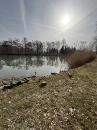 Angelteich SFV Pleißa-1