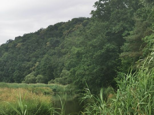 Freiberger Mulde (Nossen)-4